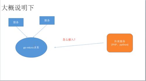 普通API集成到Go Micro体系中的手工集成方法